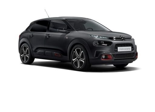 C4 CACTUS