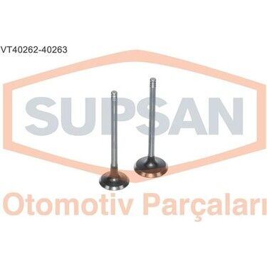 SUPSAN TV-40262-40263 | Renault Megane 4 2015 1.5 dCi Subap Takımı