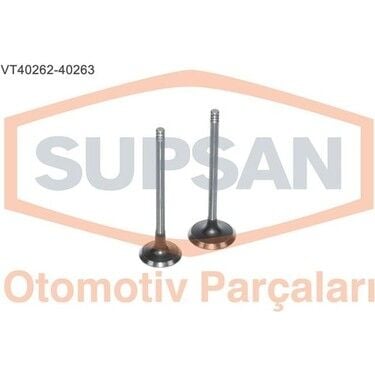SUPSAN TV-40262-40263 | Renault Megane 4 2015 1.5 dCi Subap Takımı