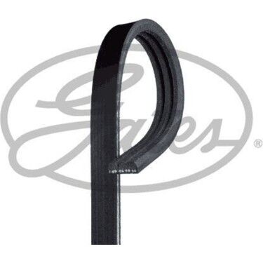 V Kayışı 13-Clio.IV-Logan 1.2 16V GATES 3PK751SF