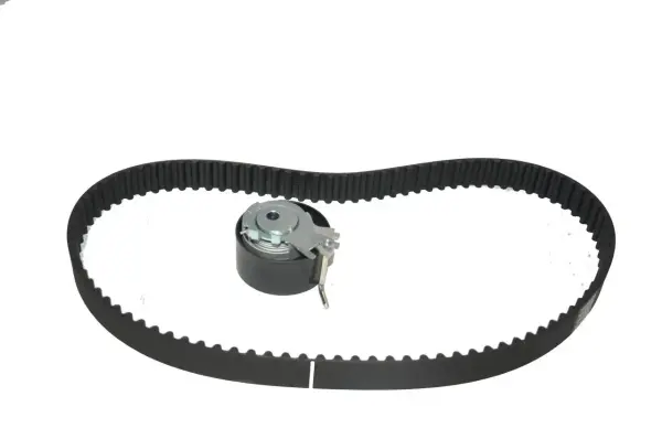 Eksantrik Rulman Kiti (Triger Seti) Kangoo Thalia Logan I II Sandero I II Clio II III Modus Twingo II Clio IV 1.2 16V D4f İNA 530019510