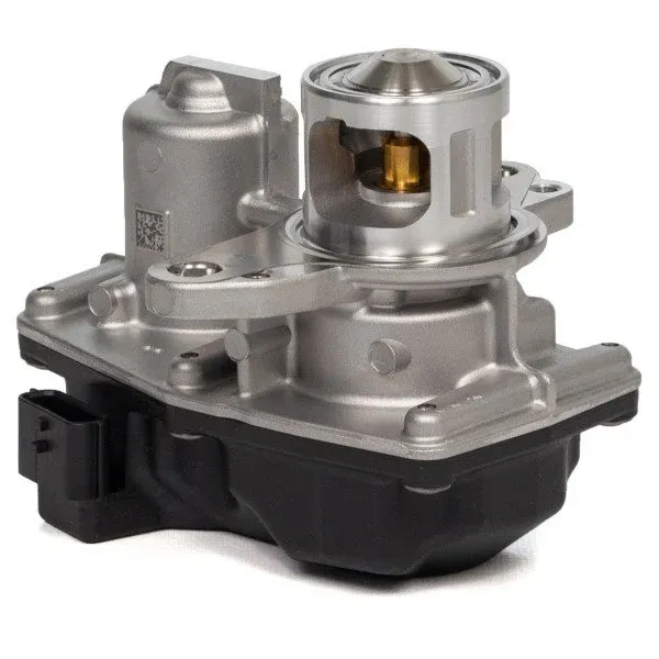 Renault Megane 4 2015- 1.6 dCi Egr Vanası KALE 147109948R