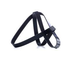 Kanallı V Kayışı Renault 0.9 1.2 1.4 Captur 13- Clio IV Kangoo 13- Megane III Scenic III Symbol Nissan Qashqai Juke 1.2 Dıgt 2013-DAYCO 7PK1601