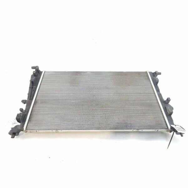 Renault Megane 4 2015- Euro 6 Su Radyatörü İthal 214102845R