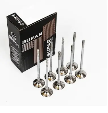 Bmw F30 Kasa 320i ed N13 Motor Subap Takımı Emme Ve Eksoz SUPAR 101435116