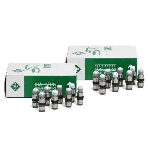 Bmw F30 Kasa 320i N13 Motor Subap İticisi Takım INA 420022610