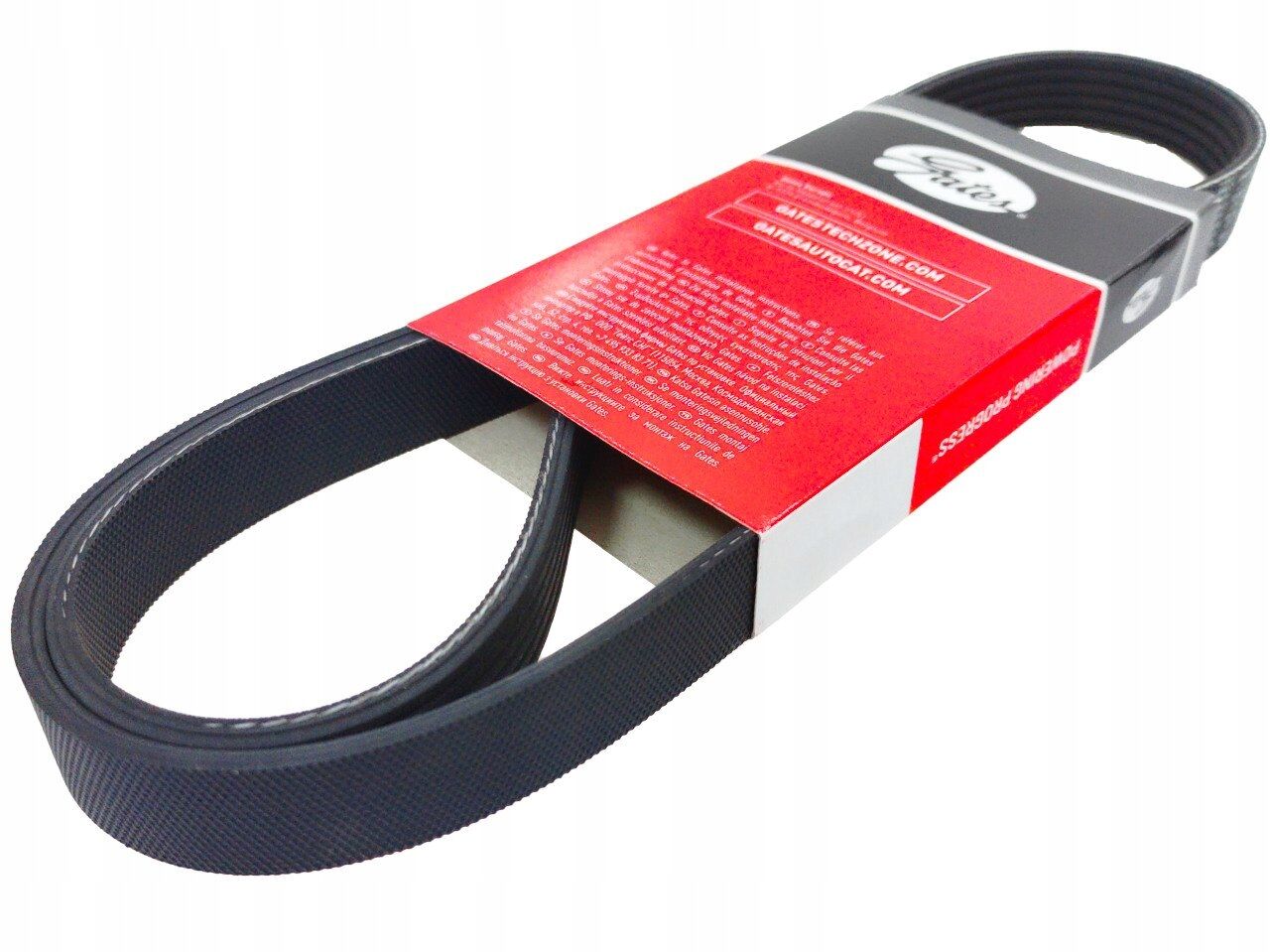 GATES 6PK1915 | V Kayışı 99-05 Focus 1.4-1.6 16V
