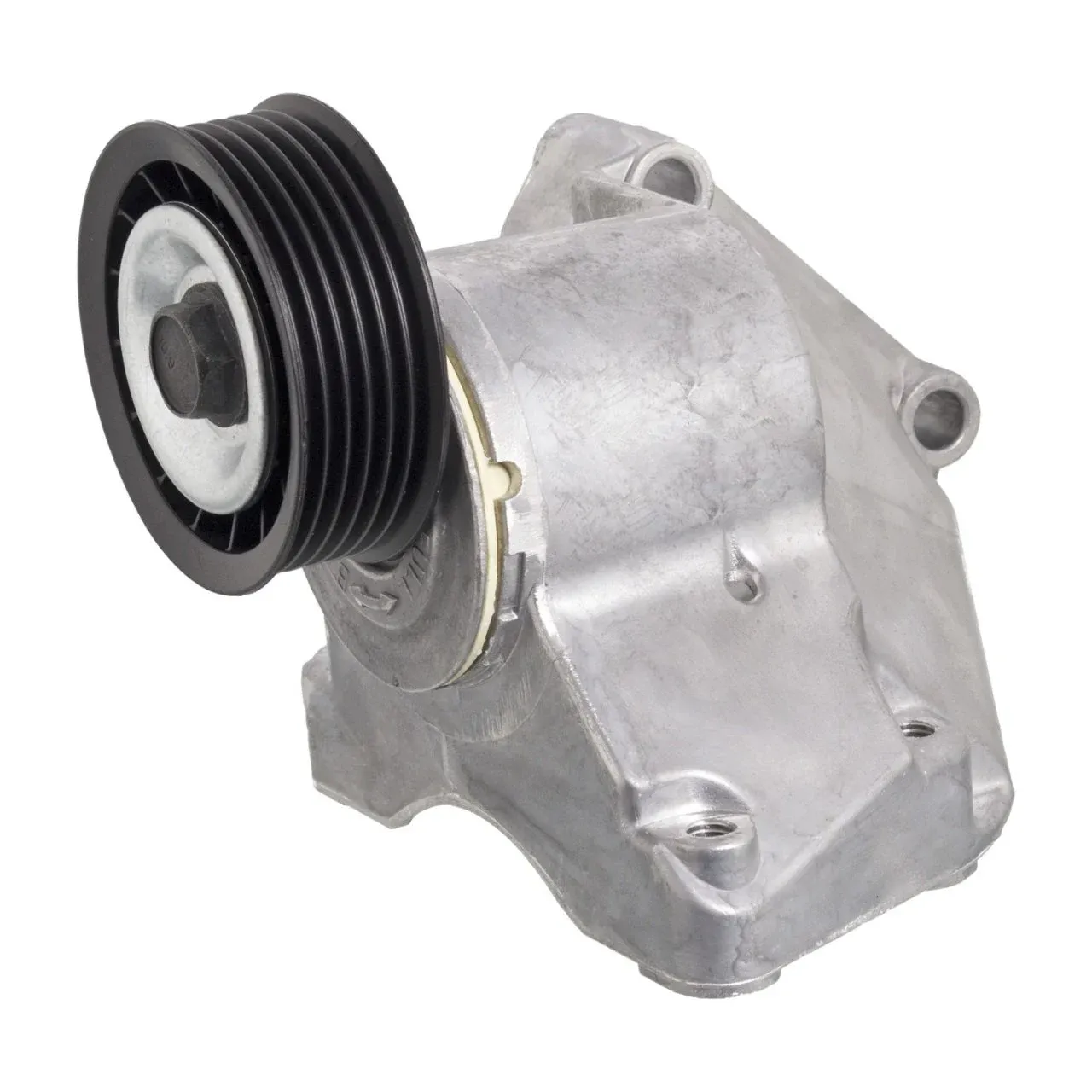 Ford Focus 1998-2002 V Kayış Gergi Kütüğü Komple INA 534003210