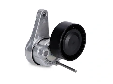 Seat Leon 2013 Model Sonrası 1.6 TDI Motor V Kayış Gergisi INA 534055210