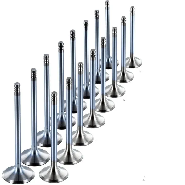 Seat Leon 2013 Sonrası 1.2 TSI Motor Subap Takımı GÜNEŞ 6046-6047