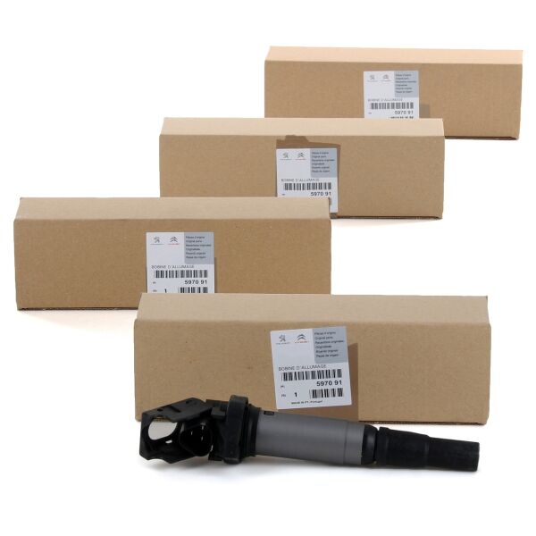 Bmw F30 Kasa 316i Ateşleme Bobini Orijinal PSA 5970.91